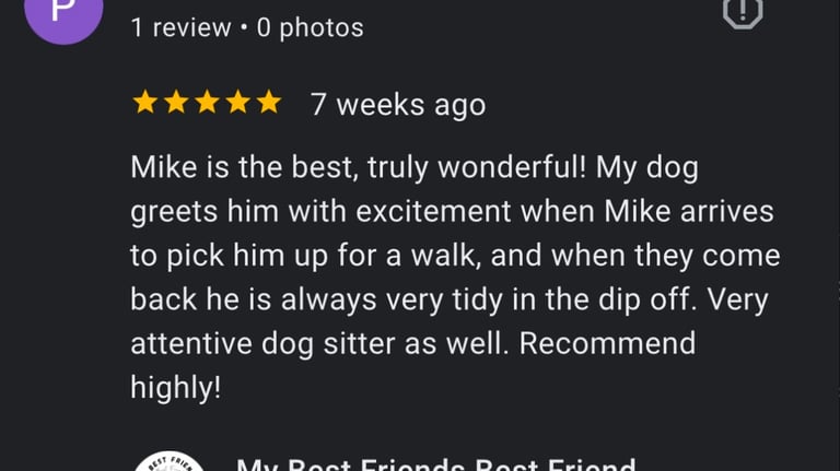 Review by Pablo Boczkowski