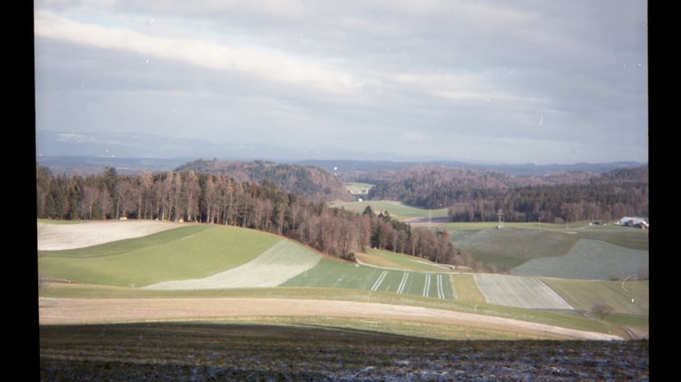 Ein malerischer Blick auf sanft grüne Hügel, Ackerland und einen dichten Wald unter bewölktem Himmel