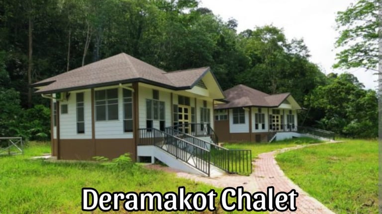 Deramakot Chalet accommodation surrounded by rainforest in Deramakot Forest Reserve, Borneo