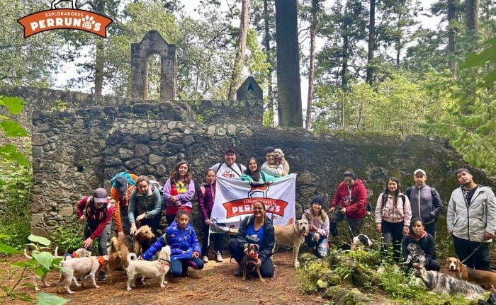 Un grupo de excursionistas y sus perros posan frente a unas ruinas de piedra en un bosque de pinos