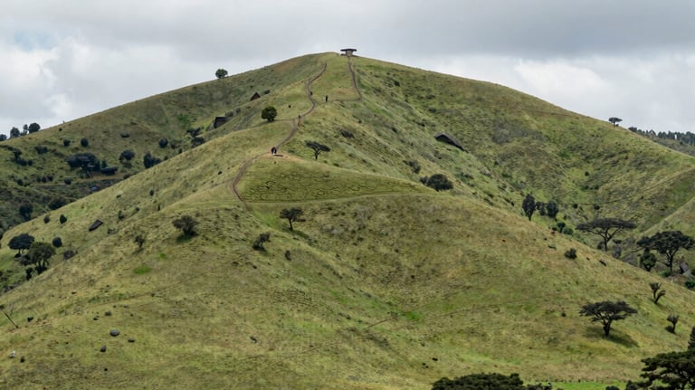A serene landscape showing rehabilitated mining land with green vegetation