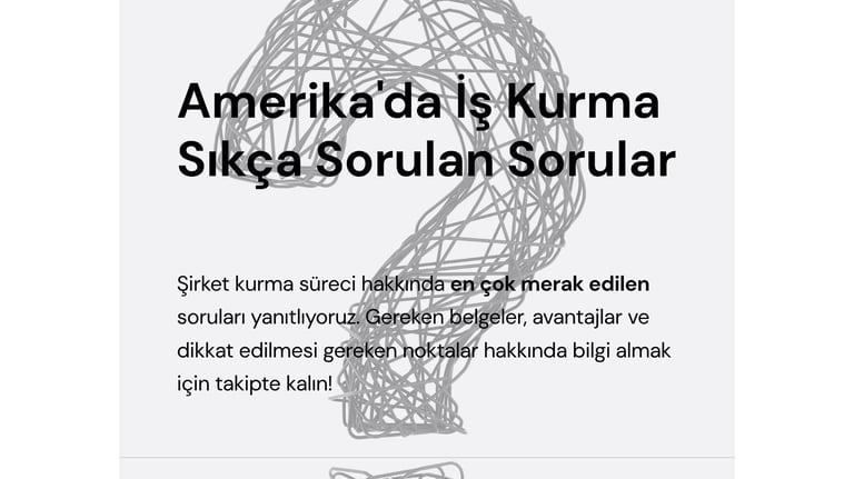 amerikada şirket kuruluşu