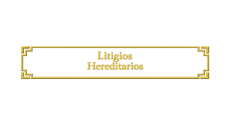 Representamos conflictos hereditarios y disputas patrimoniales relacionadas con sucesiones.