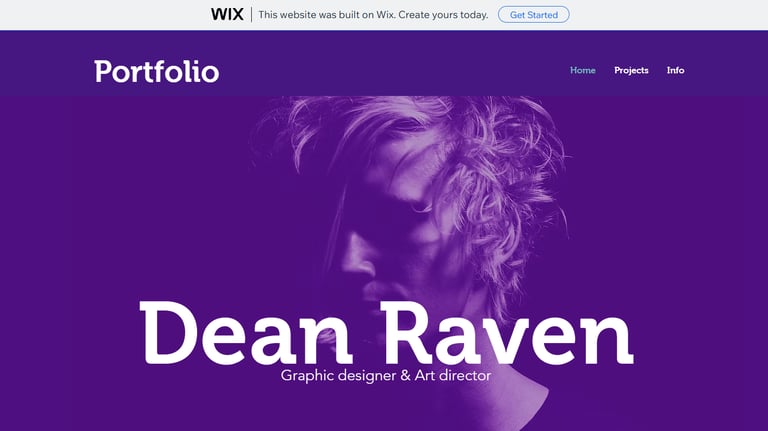 best ecommerce website software review of wix