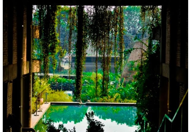 Herramientas de autoconocimiento: Biodescodificación, Diseño Humano y Memoria Celular