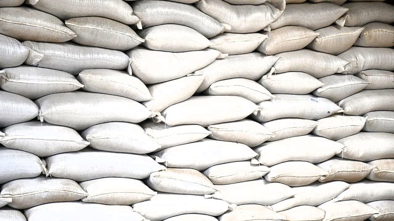 Gypsum Powder Bags