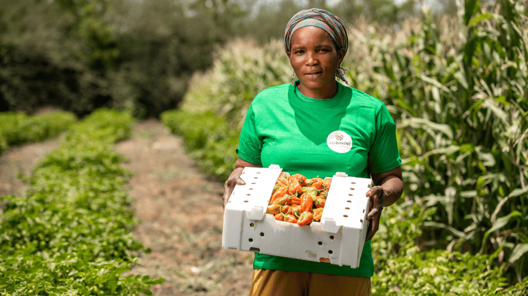 a woman holding a box of tomatoes in a field