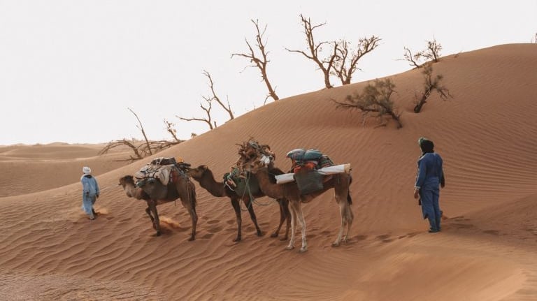 trekking in chigaga desert zagora - soul of nomads