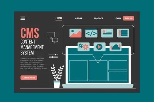 custom web application site