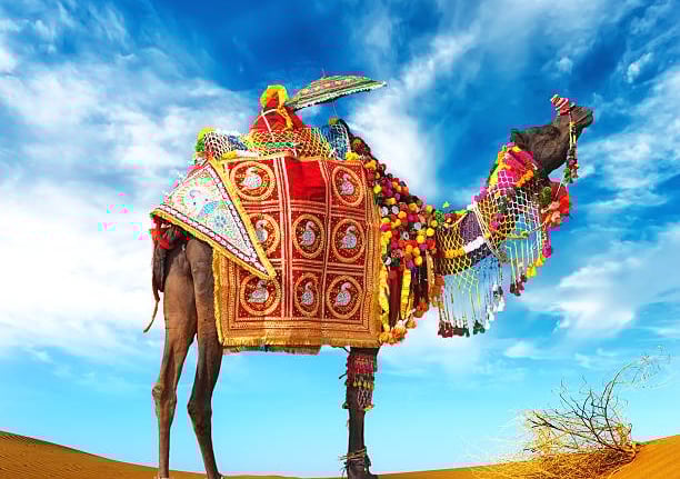 Camel ride at Jaisalmer desert