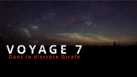 Voyage 7 - Dans la discrète Girafe