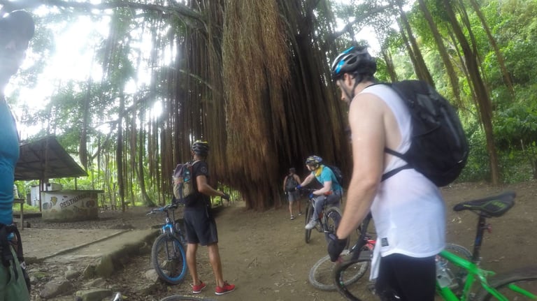 Bike tour bicicleta Sierra Nevada de Santa Marta