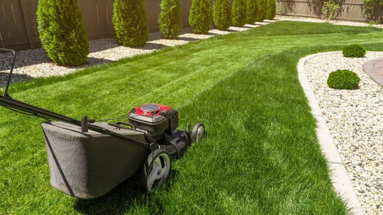 a lawn mower mowering in a backyard