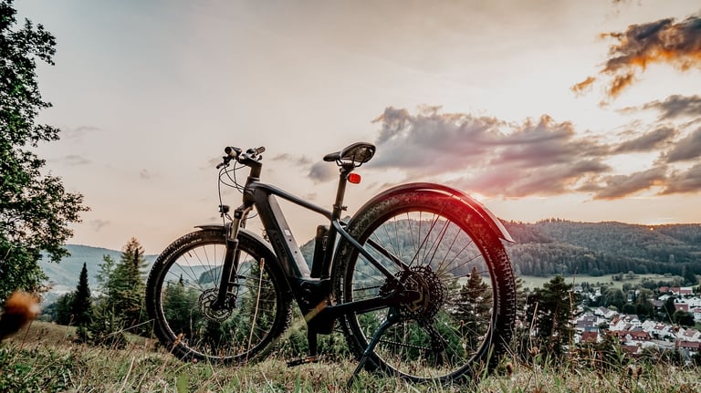 Abgestelltes E-Bike vor Naturkulisse