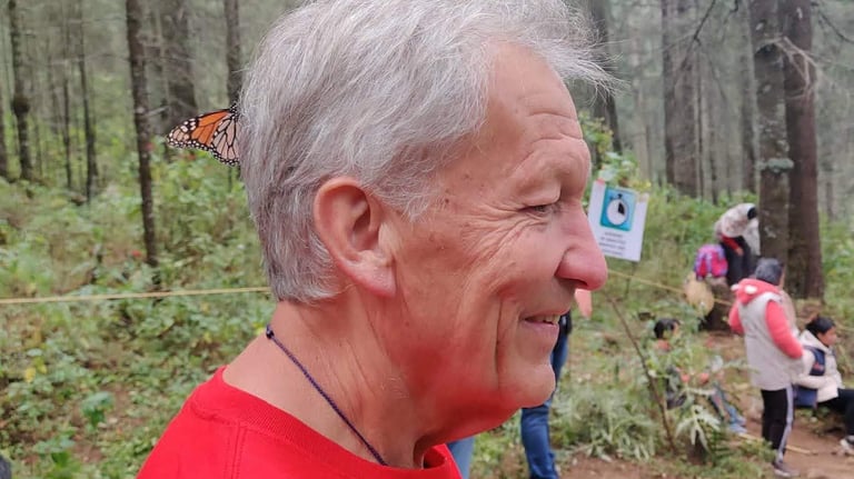 Monarch butterfly on Jan Larsson's head