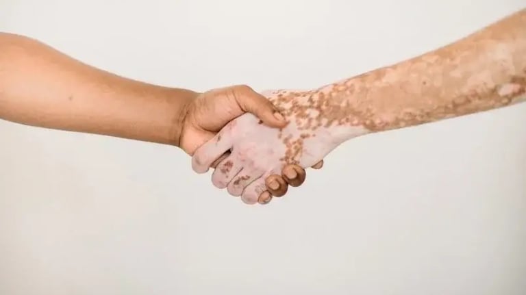 Deux personnes se rencontrent et se serrent la main, illustrant un geste de bienvenue et un moment de connexion.