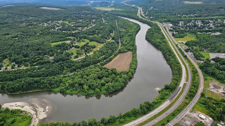 a river running through a lush green forest