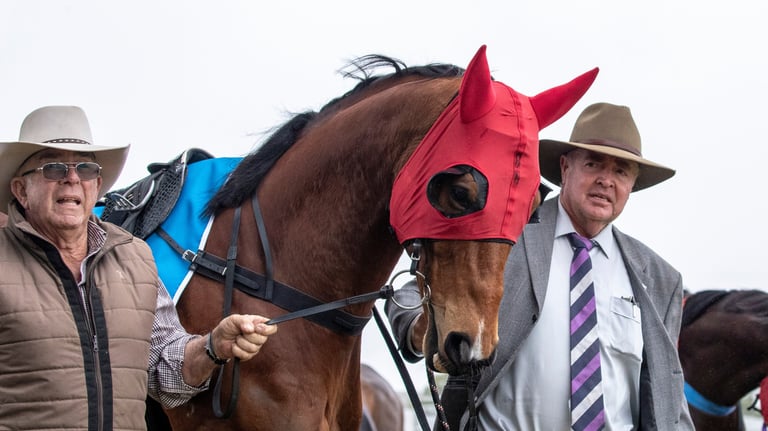 Horse Premiership
