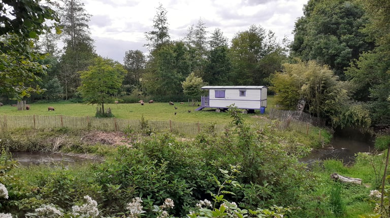 roulotte naturopathique