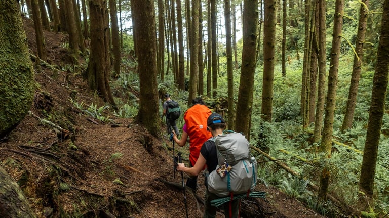 hikers on the BCMC trail