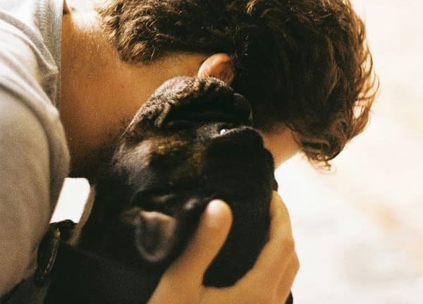 Bouton pour aller sur le service comportement canin