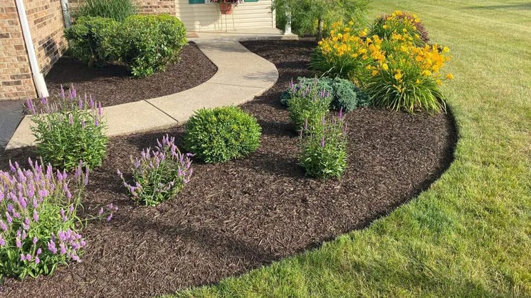 spring clean up up leafs flower bed