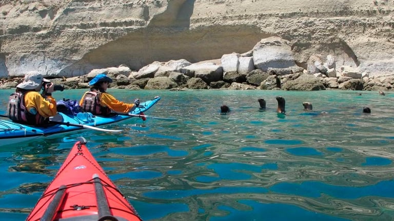a person in a kayak kayak kayak in the water