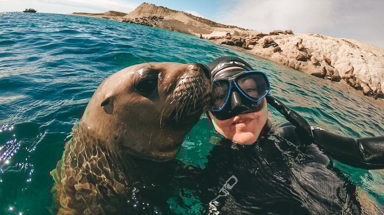 Snorkeling con Lobos Marinos