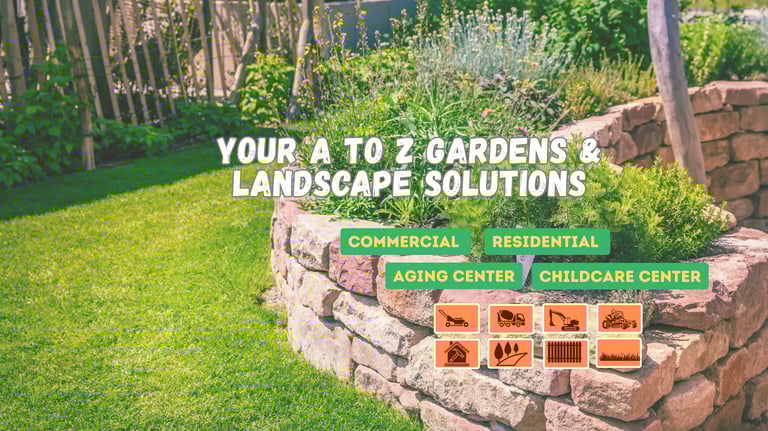 Verdant Path Tasmania