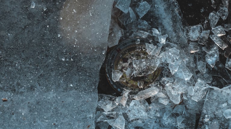 Viktorijos Šaulytės nuotrauka