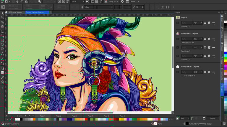 Corel draw graphic design program