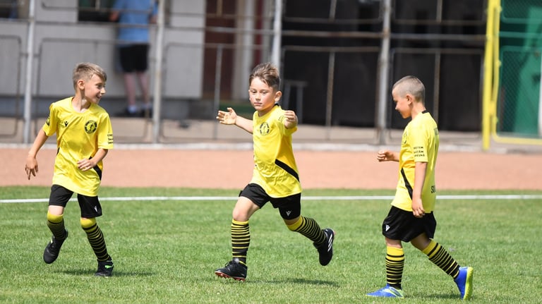 Model de Joc specific clubului