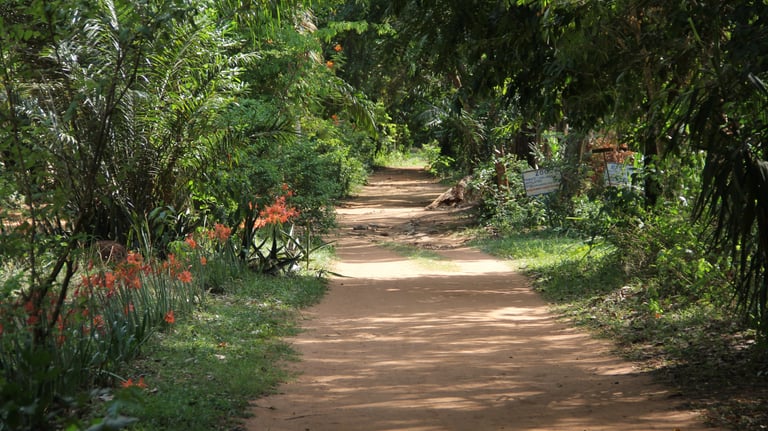 Jardin botanique et zoologique de Calavi