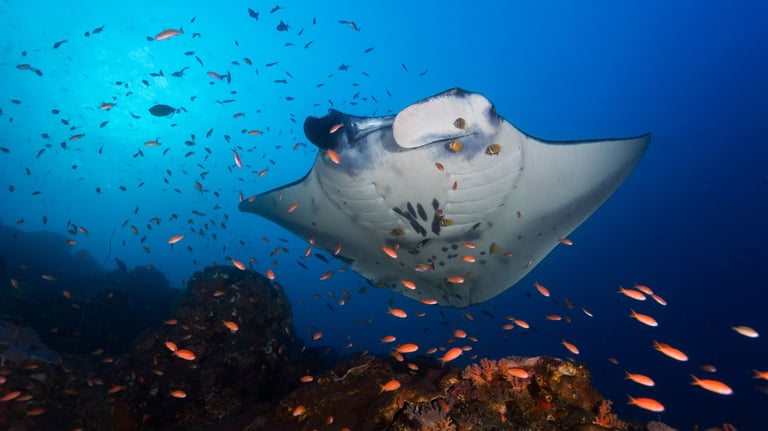 Micronesia on Wind Shift Expedition Yacht