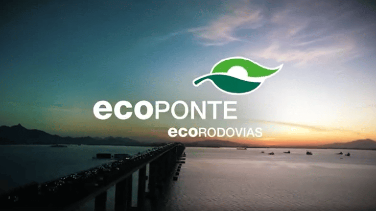 ponte rio niteroi - a bridge over a body of water with a green leaf