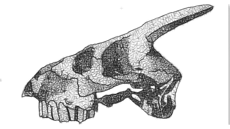 a skullet with a skull head and a skull head