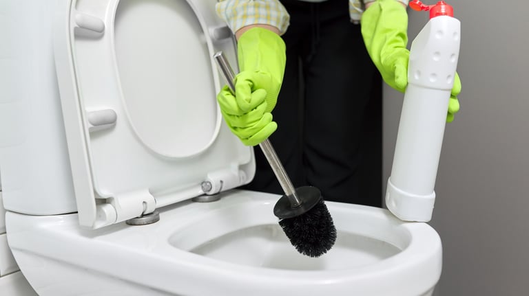 Deep cleaning. Avra cleaning services person cleaning a toilet with a brush
