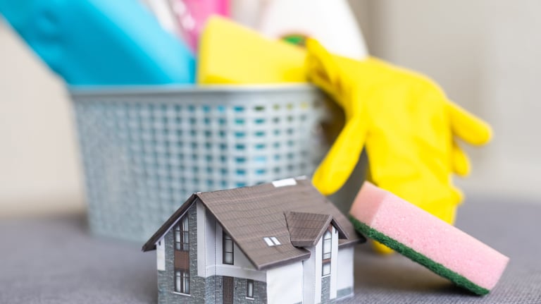 a house with a houseplant and cleaning supplies ready to perform pre tenancy cleaning