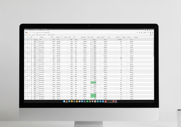 Monitor con dati excell ordinati