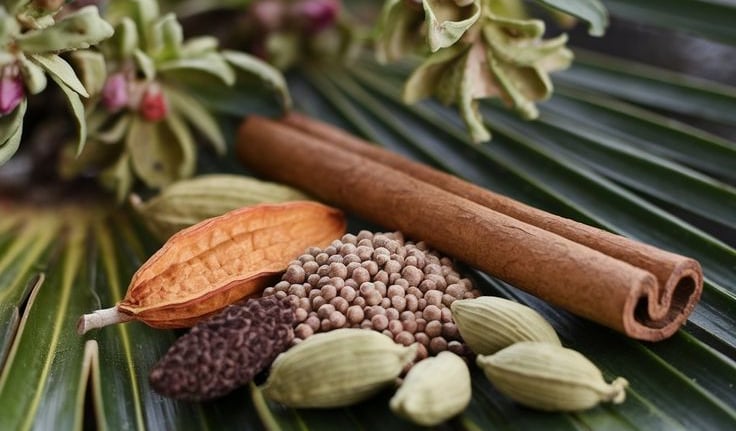 Assorted spices including cardamom, cinnamon, and local herbs displayed during a Zanzibar spice farm tour