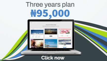 Custom Website Design Services for Business in Nigeria