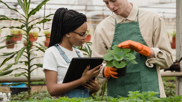 Association, RSA, PLIE, SIAE, Formation, conseiller numérique, Accompagnement vers l'emploi, Mitry Mory, Chelles, Référent em