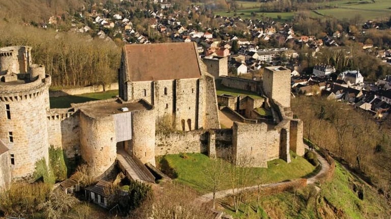 image aérienne du château de la madeleine à chevreuse