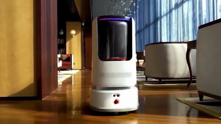Hospitality Robot Segway D2