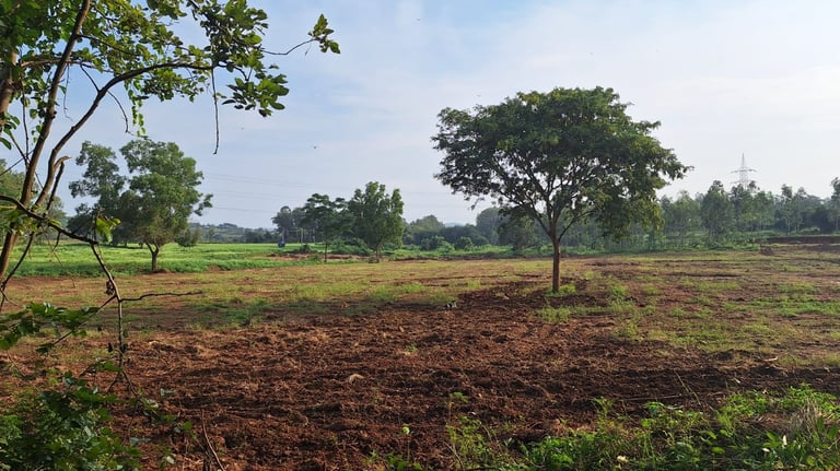 6 Acres Agricultural land for sale near Kaggalipura, off Kanakapura Main Road, Bangalore south