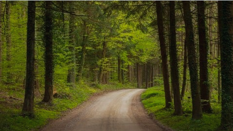 Ann Emerson Udemy Training Course Introduction to Sacred Paths 