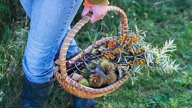 Basket of wild herbs and flowers — symbol of cyclical wisdom, healing partnership, and feminine freq