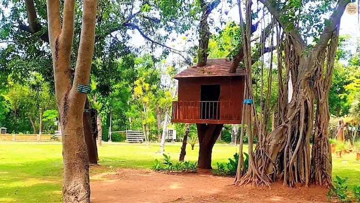 Tree house inside Pondicherry Botanical Garden.