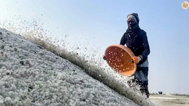 A local woman collecting raw salt from the pans of Sambhar Salt Lake under the warm Rajasthan sun.