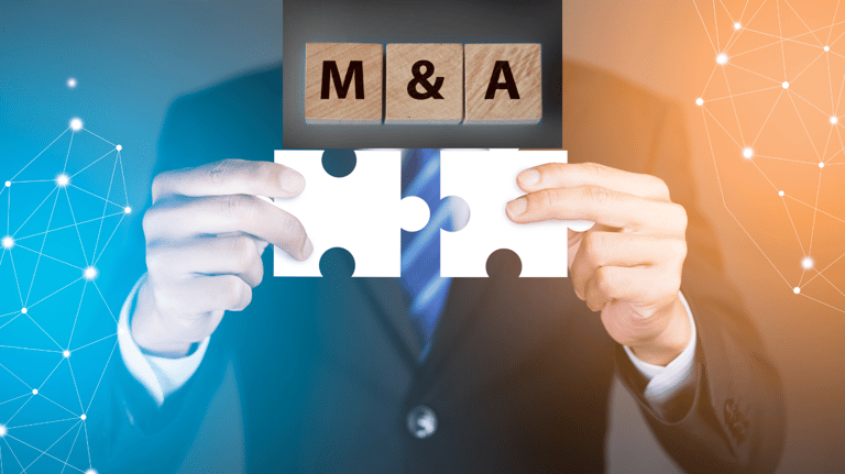 Merger & Acquistion, Due Diligence
